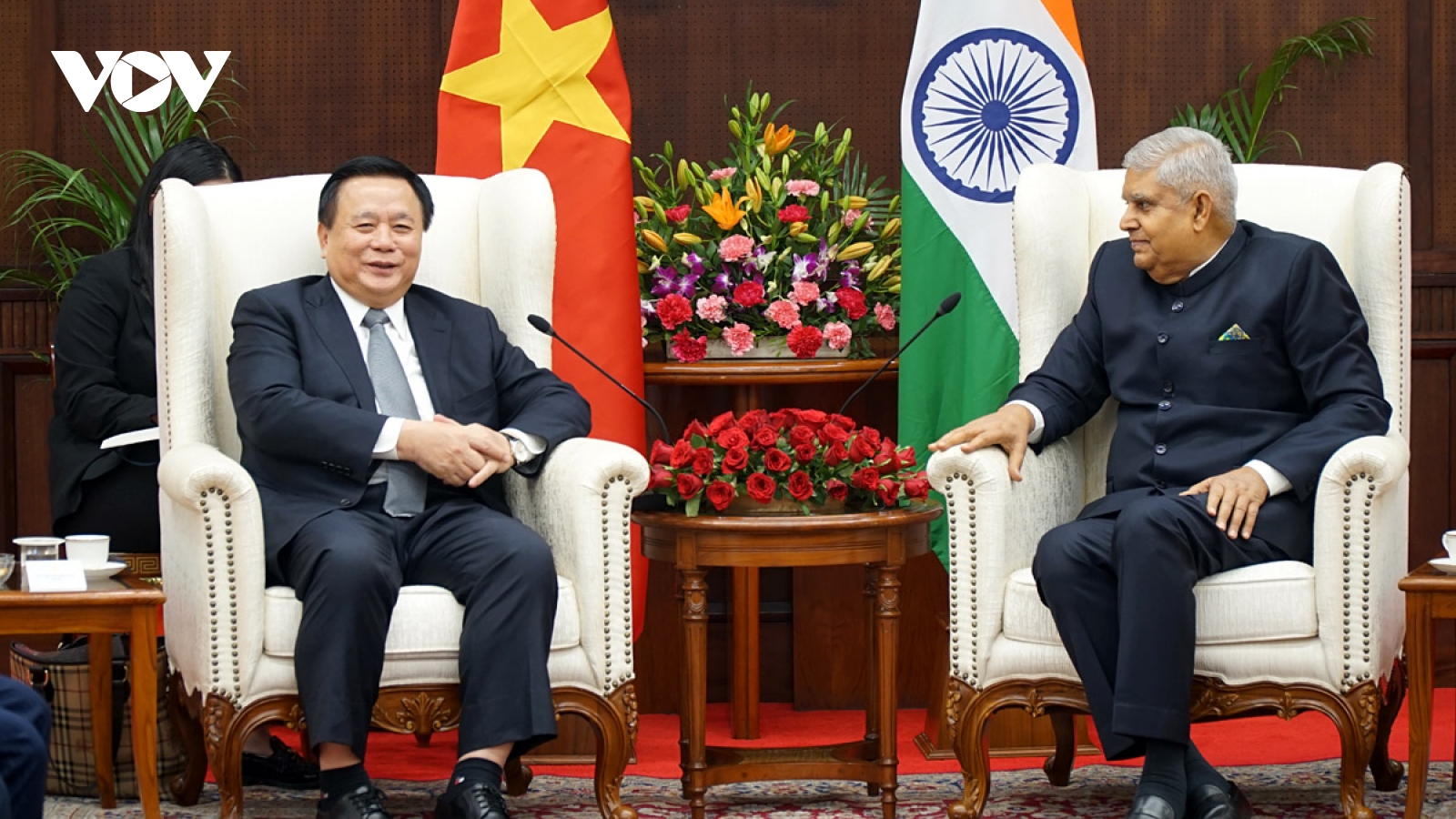 Vietnam and India boost traditional friendship, partnership framework